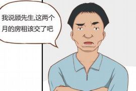 临邑专业讨债公司有哪些核心服务？